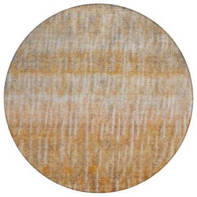 Machine Washable Indoor/Outdoor Matteson ACN2317 Casual Rug
