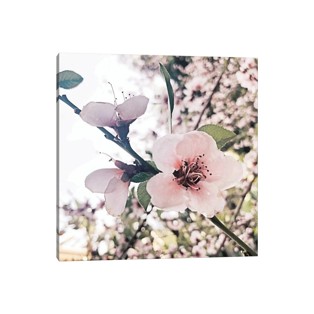 Flowering Peach Tree V by Irena Orlov - Wrapped Canvas Print