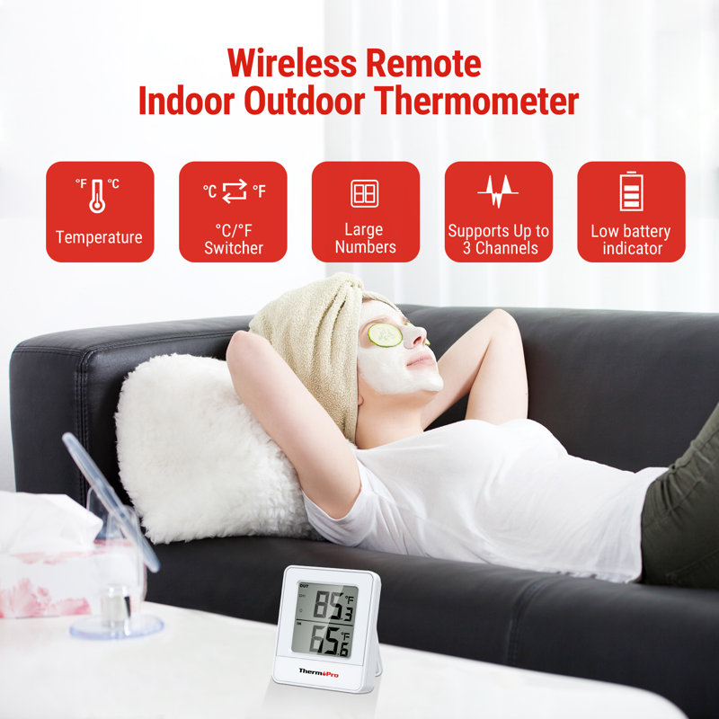 ThermoPro Thermometer
