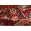 Wool Oriental Area Rug