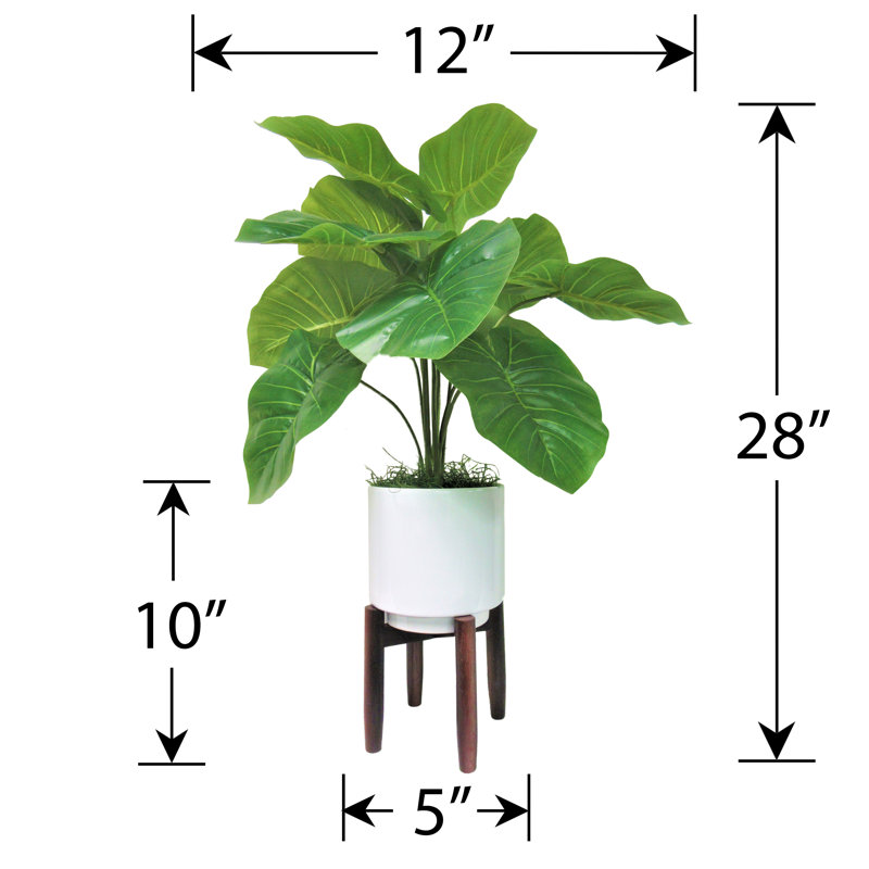 Plante auriculaire artificielle 28 "dans un vase