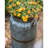 Momar Handmade Metal Pot Planter-32438132