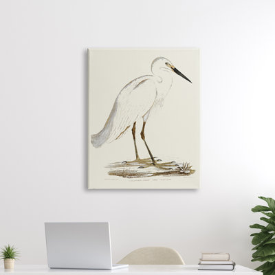 Illustration rétro d'une aigrette dans un marais