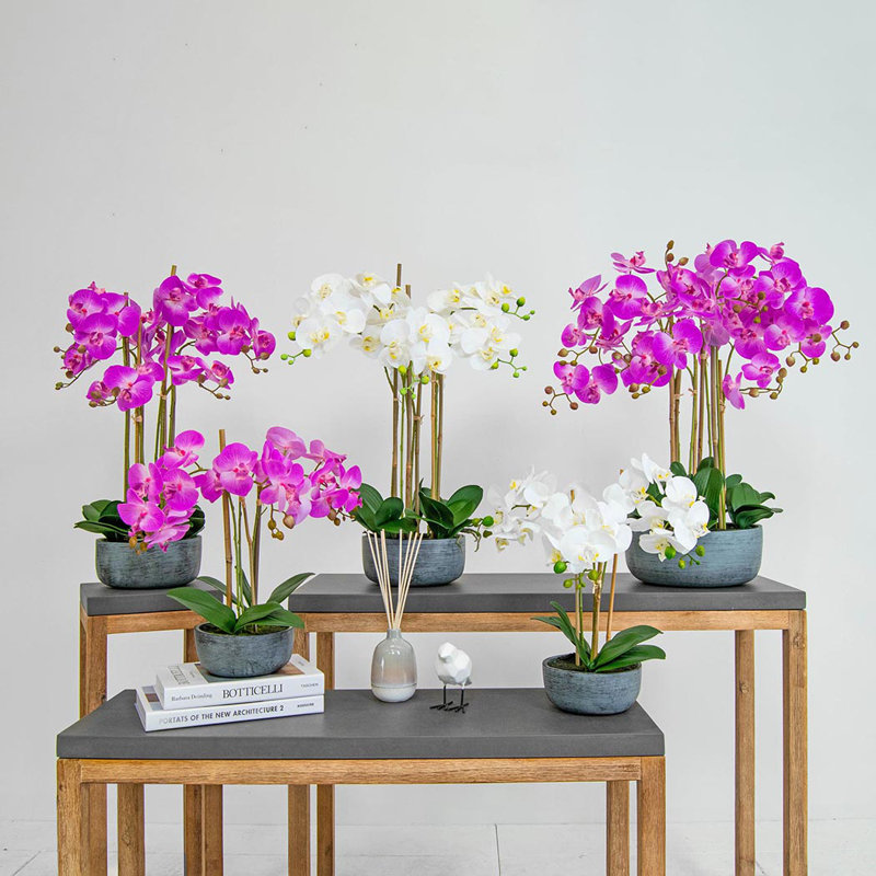 Polysilk Orchid Arrangement in Pot, 70cm H x 30cm W x 30cm D, Pink