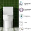 Toilette économiseur d'eau 1,28 po, conception allongée et confortable, siège, chasse d'eau de 1000 grammes, blanc brillant 003S, appareil de salle de bain au sol, hauteur latérale, score de chasse d'eau, fixation brillante