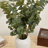 Audet Artificial Eucalyptus Branch(1 Stem)-1750349365