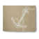 Chenille Indoor Rug