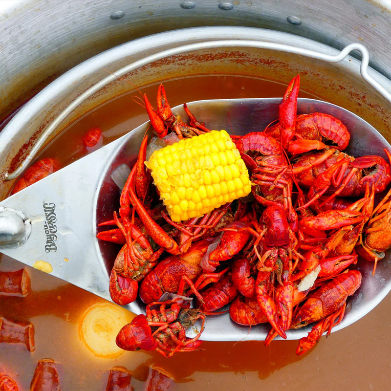 Cuiseur à jet simple Bayou Classic, brûleur au propane de 14 pouces pour marmites, noir