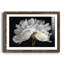 Morning Light - Reproduction d'art sur papier encadrée-1950103030-1950103033