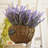 Lavender Arrangement-1205311665-1205311667