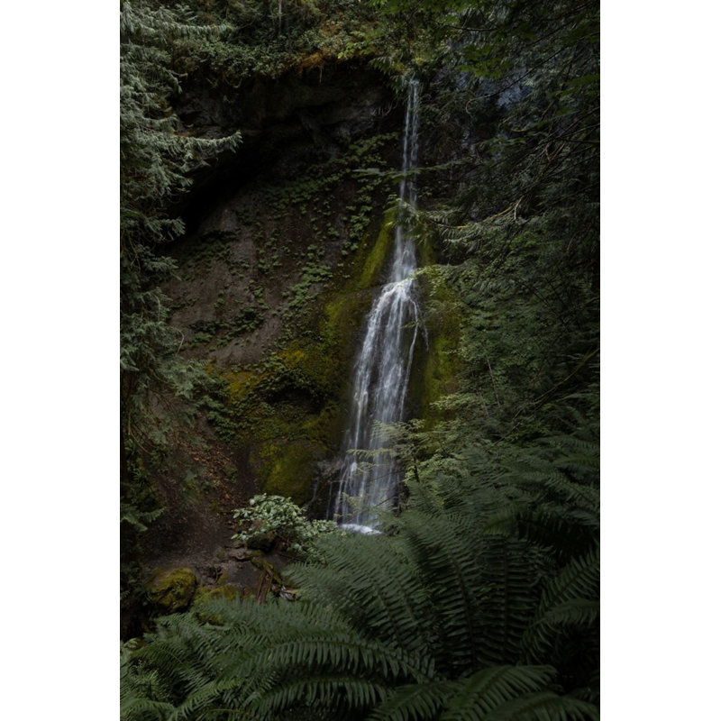 Olympic Falls Print by Bumsted, Kelsey