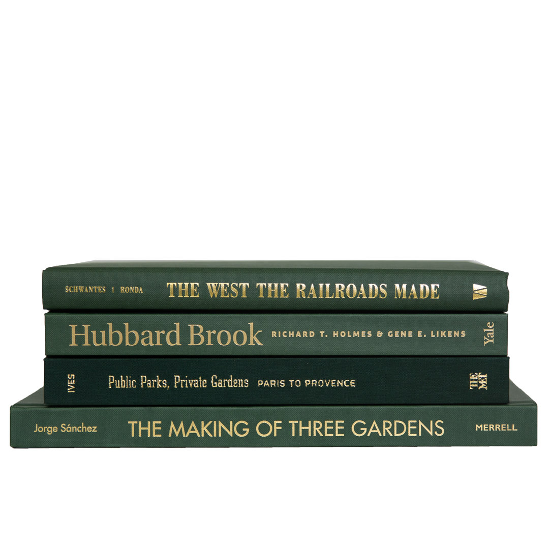 Modern Boxwood Hicham, S/4 George Oliver