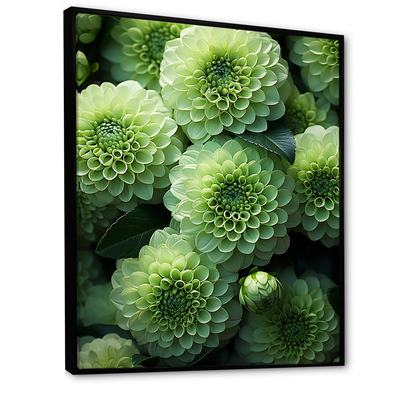 Zinnias vert crépuscule I, Cadre flottant noir, H 40 po x l 30 po x P 1,5 po
