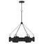 Raffi Steel Medium LED Other Chandelier