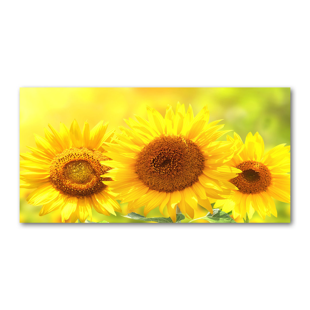 Sonnenblumen - Kunstdrucke auf Leinwand - Wrapped Canvas