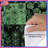 Green Botanical Patchwork Duvet Covers-127458551