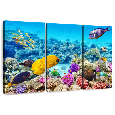 Aletra Ocean Life