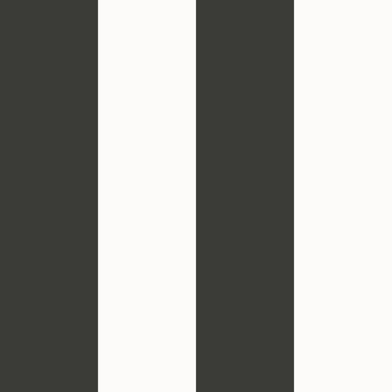 Style Sisters Classic Wide Stripe Design 10.06m x 53cm Matte Wallpaper Roll, Black/White