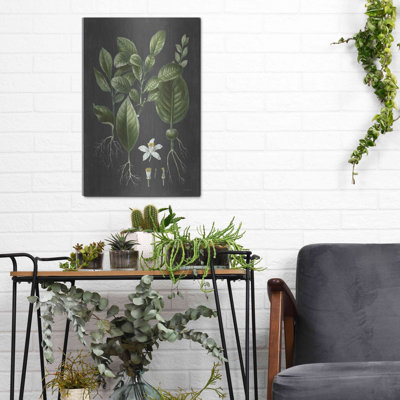 «Citrus Botanical» par lettré et doublé
