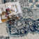 Douglass Oriental Indoor Rug