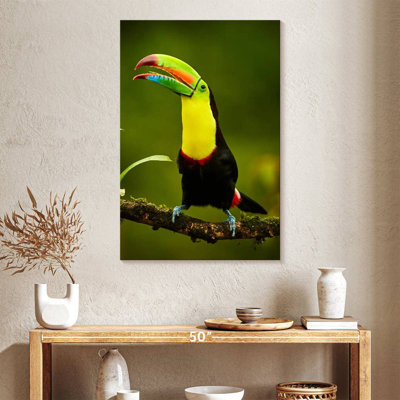 Toucan arc-en-ciel Brampt
