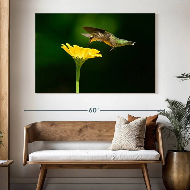 Brampt Hummingbird In Flight, 34" H x 51" W