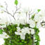 Magnolias and Succulents Arranged in Glass Vase