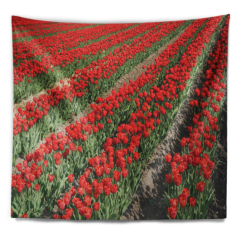 Tapisserie de lignes de tulipes rouges, H 78 po x l 92 po