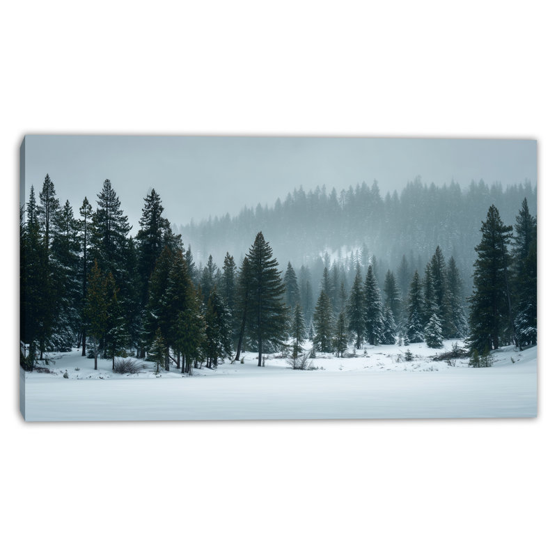 Art mural sur toile Misty Evergreen Valley, H 27,5 po x l 55 po