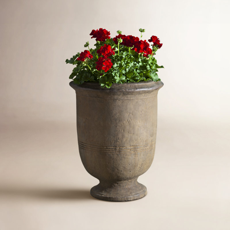 Provencal Handmade Urn Planter, English Moss