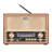 Portable Decorative Radio