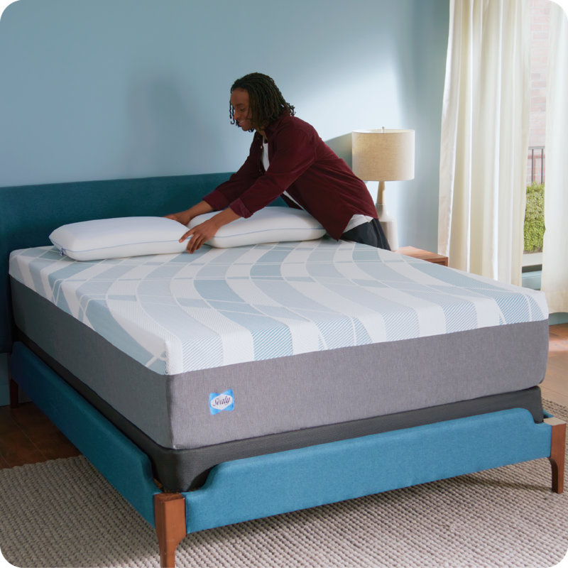 Sealy Dreamlife 14” Plush Foam Mattress-in-a-Box, King