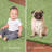 Amberleigh Washable Indoor Rug