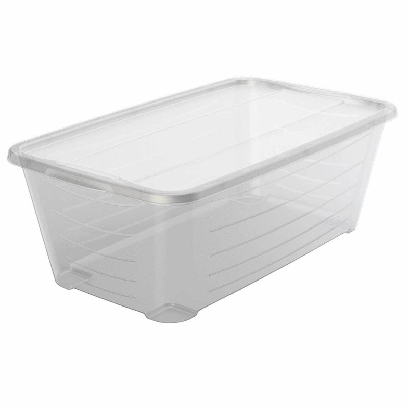 Life Storey 5.7L Shoe and Closet Storage Box Stacking Containers, Clear, 4