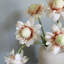 Waratah Protea Faux Floral-387507833-387507832