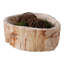 Bol décoratif décoratif en bois sculpté - Bol décoratif moderne pour tables de salle à manger - Bol décoratif polyvalent pour la chambre à coucher ou la salle de bain - 9 po, ivoire et brun clair