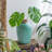 Gatliff Ceramic Table Vase