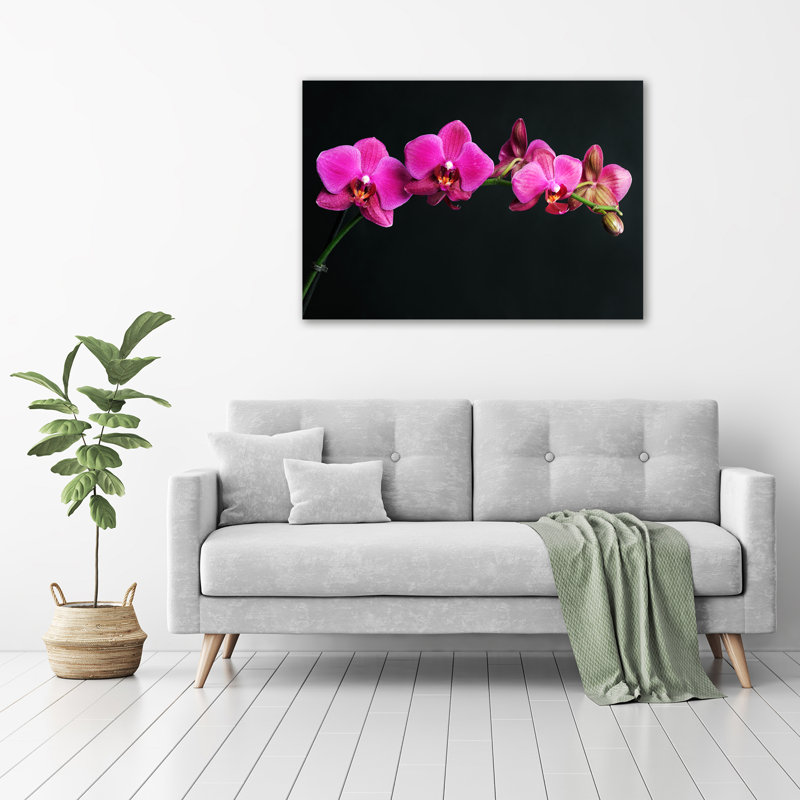 Pink Orchids Curve - Wrapped Canvas Print, 70 cm H x 100 cm W