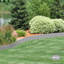 Bordure de jardin-84751532-84751531