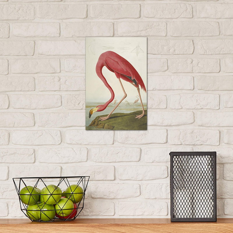John Audubon - Wrapped Canvas Print, 66.04 cm H x 45.72 cm W x 1.91 cm D