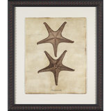 Sepia Sea Collection II Painting