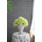 Greek Style Cement Head Planter /Indoor Outdoor Home Garden Decor, D6" X 9"-1808847838