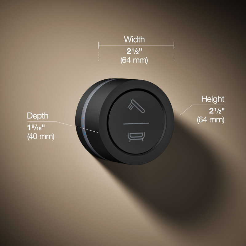 DTV Mode Wall-Mount Bath/Shower Digital Interface, Matte Black