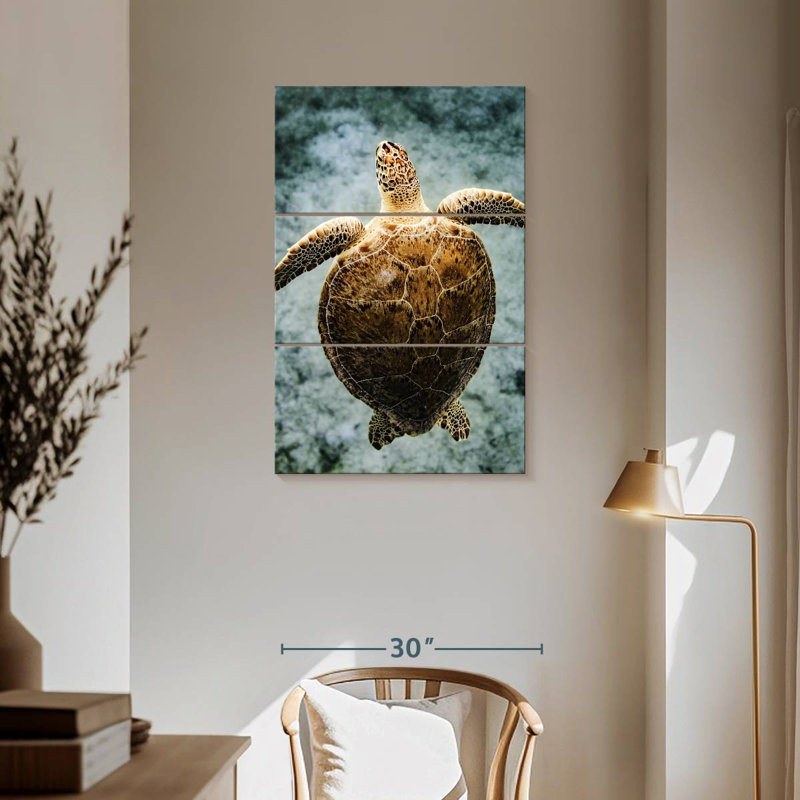 Brampt Virgin Islands Turtle, 57" H x 36" W