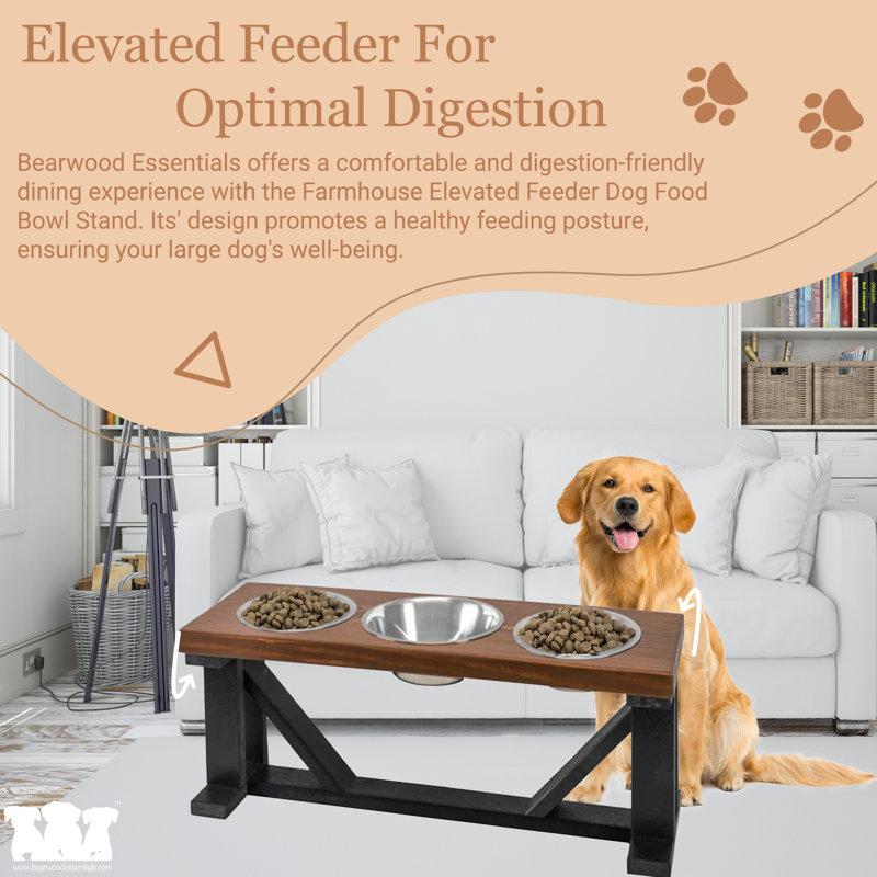Elevated Feeder, Ebony, Medium (12")