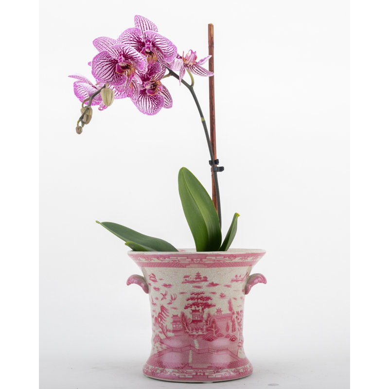 Handmade Pot Planter