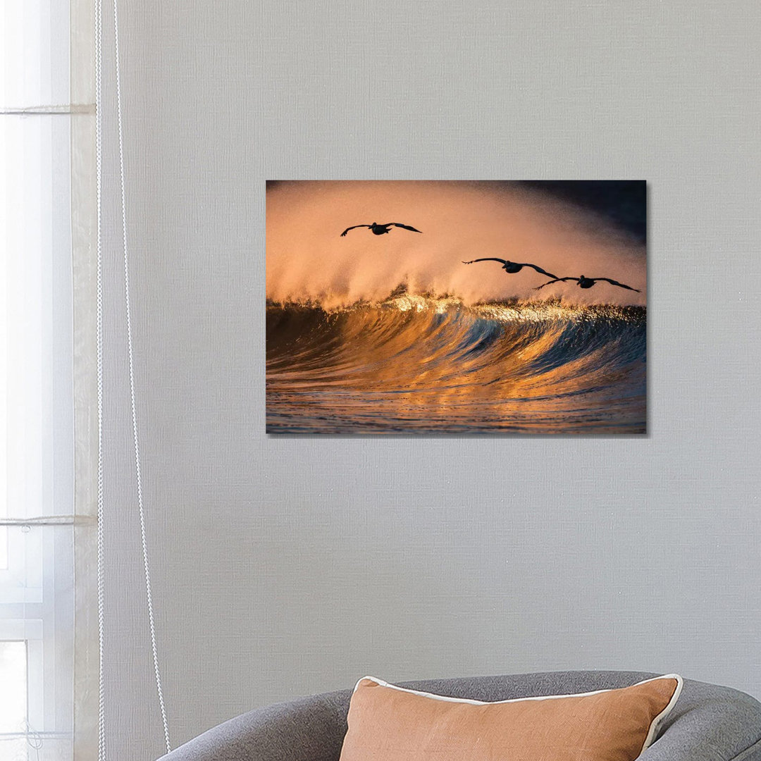 3 Pelicans and Wave by David Orias - Wrapped Canvas Photograph