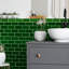 Viva Antic 6'' L x 3'' W Ceramic Bullnose Tile Trim