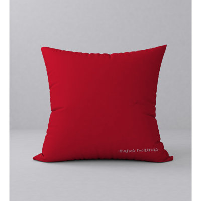 Square Pillow Cover and Insert