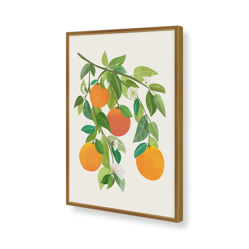 "Oranges and Blossoms II", "Tropical Fruit" par Modern Tropical, reproduction d'art sur toile, H 32 po x l 24 po, Doré